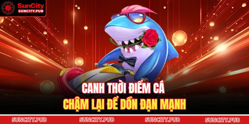 Canh thời điểm cá chậm lại để dồn đạn mạnh