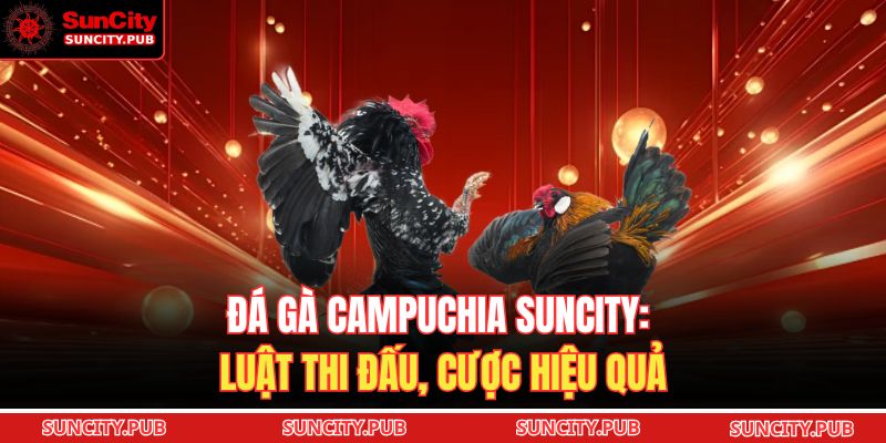 Đá Gà Campuchia